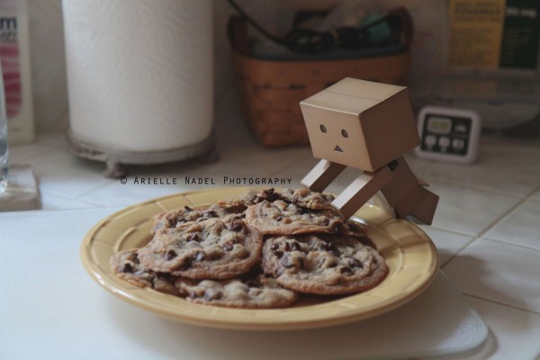 Can I Take a Cookie?